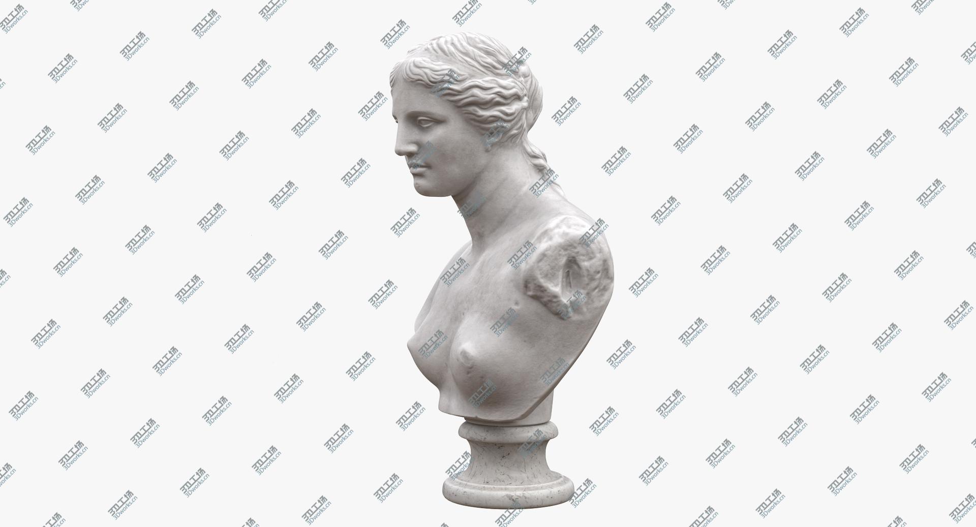 images/goods_img/2021040235/Venus de Milo Bust 3D model/5.jpg
